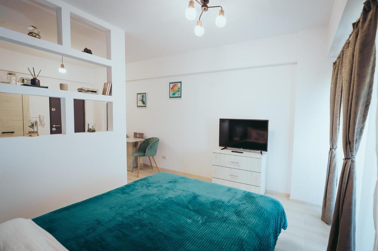 Homey Studio Tulcea Exteriér fotografie