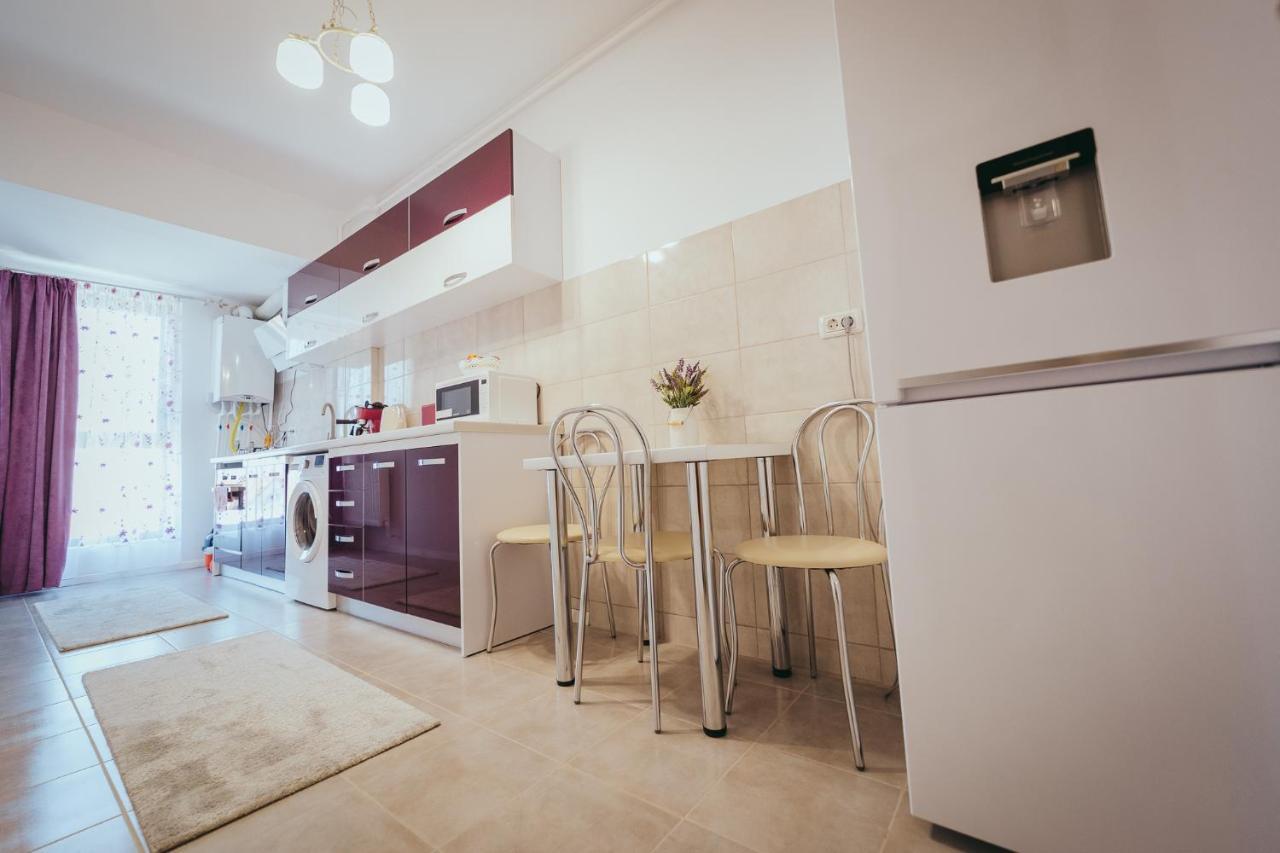 Homey Studio Tulcea Exteriér fotografie