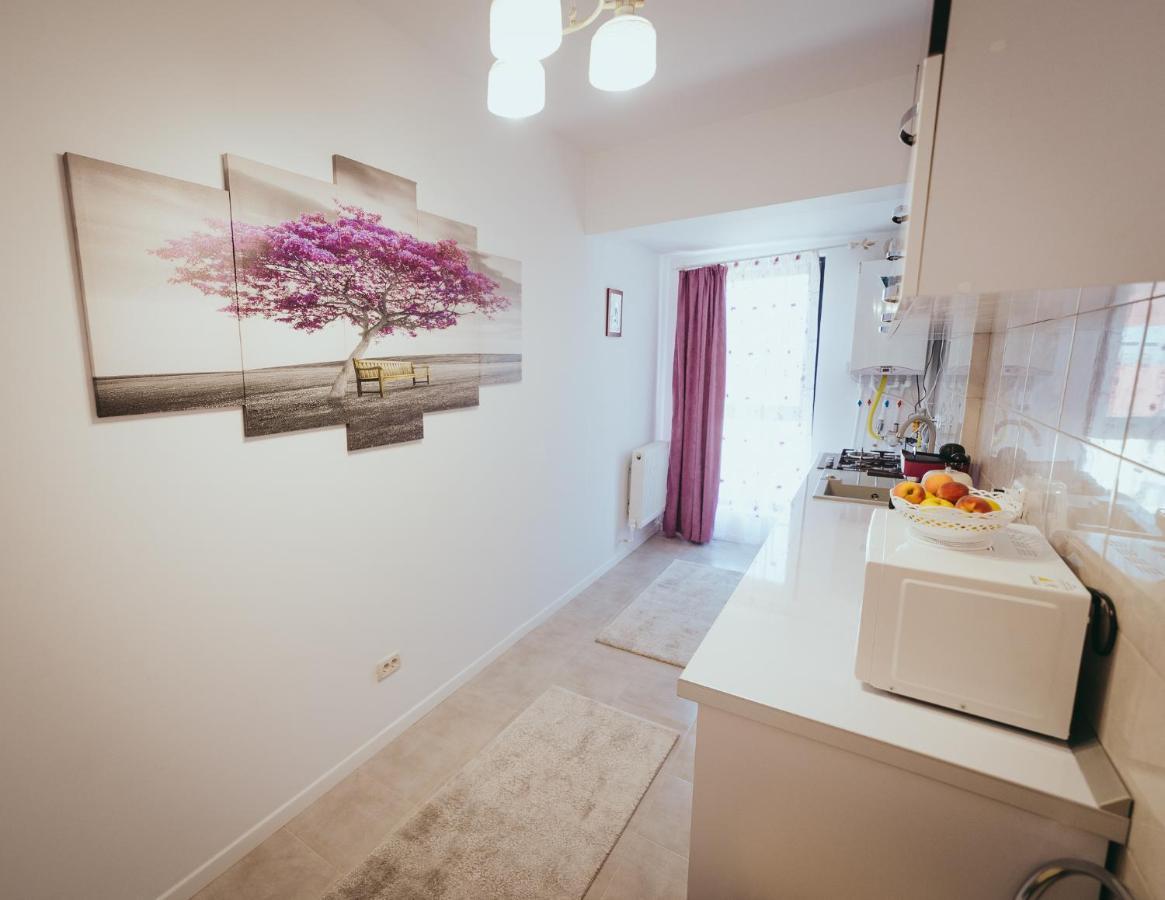 Homey Studio Tulcea Exteriér fotografie